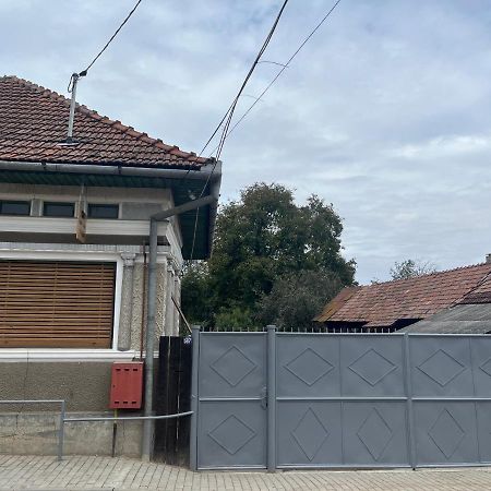 Casa Lucian Apartment Cartisoara Luaran gambar