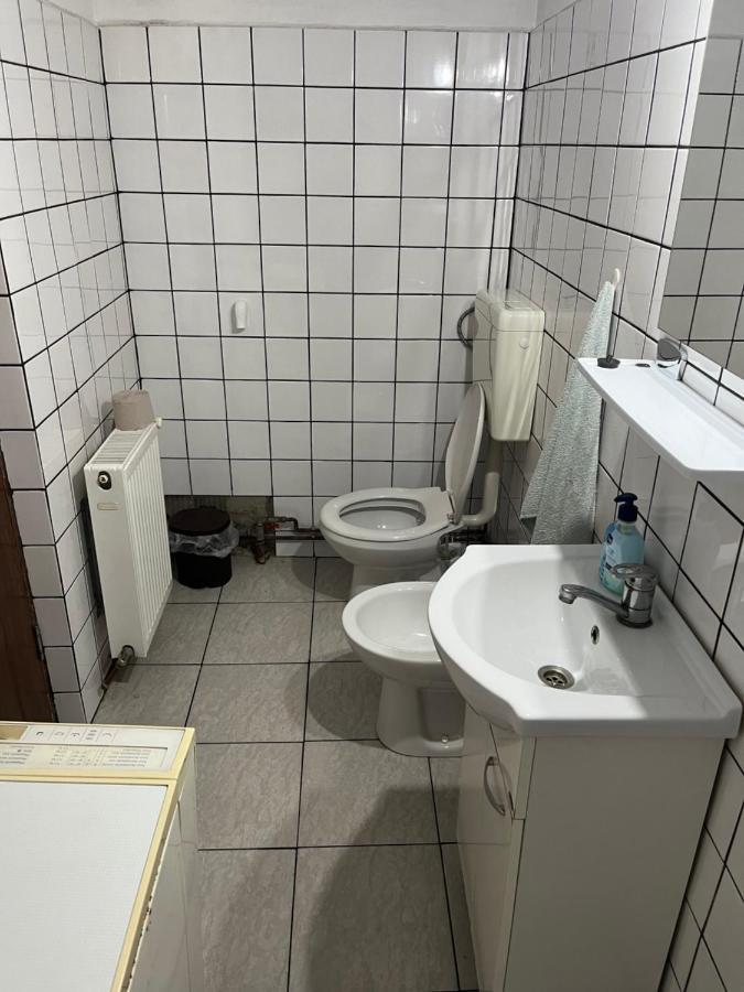 Casa Lucian Apartment Cartisoara Luaran gambar