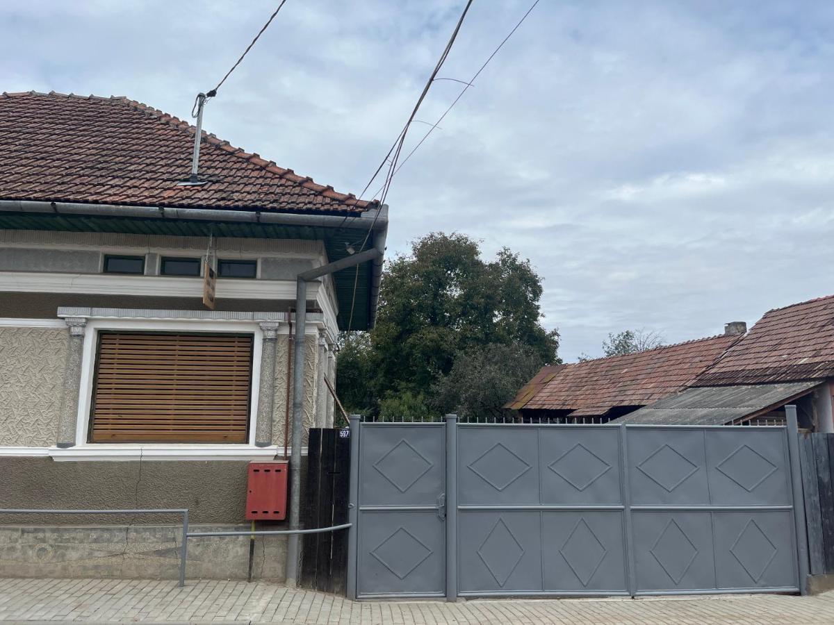Casa Lucian Apartment Cartisoara Luaran gambar